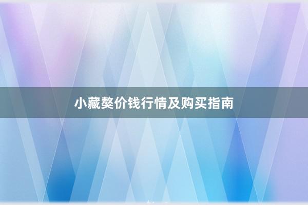 小藏獒价钱行情及购买指南